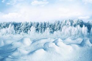 bosque de invierno congelado con árboles cubiertos de nieve. foto