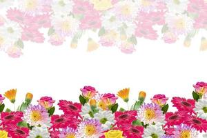 Colorful vibrant flowers of chrysanthemum, gerbera, roses isolated on a white background. photo