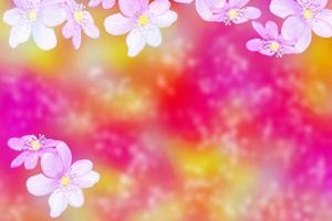 fondo floral natural de flores de primavera de colores brillantes de gotas de nieve foto