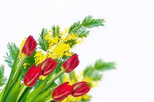 spring flowers tulips photo