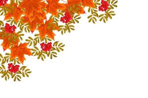 hojas de otoño de colores brillantes. serbal foto