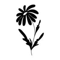 Silhouette image of chamomile. Vector illustration of a flower. Flowers and plants