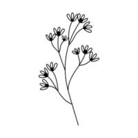 ilustración de una flor, silueta de una ramita con flores y hojas. ilustración vectorial estampado floral vector