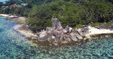 arbres verts et eau bleue claire de l'île de mahé au coeur de l'océan indien, seychelles video