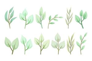 hand drawn green leaf collection isolated on white background for ornament, wedding or engagement invitation, social media post, greeting card, banner, poster design vector