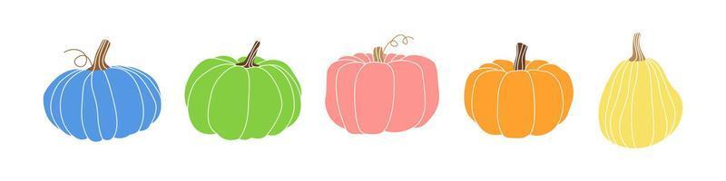 Set of colorful pumpkins of different shapes and squash. Autumn harvest pumpkin. Concept vegetables, crops, food, farming. Halloween and Thanksgiving food. Hand drawn flat fall illustration. vector