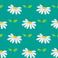 Seamless pattern of blooming chamomile flowers on stems on blue. Daisy wild camomiles. Cute plants, herbs for garden. Blossom, spring summer flower,  leaves. Hand drawn flat illustration. vector