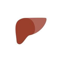 liver vector for website symbol icon presentation