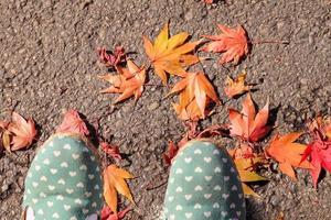 shoes with red maple photo