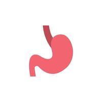 stomach vector for website symbol icon presentation