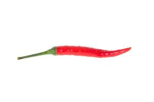 Red chili pepper isolated on a white background photo