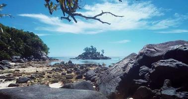 alberi verdi e acque cristalline dell'isola di mahe nel cuore dell'Oceano Indiano, seychelles video