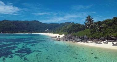 árvores verdes e água azul clara da ilha mahe no coração do oceano índico, seychelles video