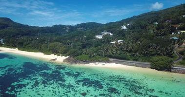 arbres verts et eau bleue claire de l'île de mahé au coeur de l'océan indien, seychelles