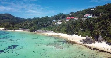 arbres verts et eau bleue claire de l'île de mahé au coeur de l'océan indien, seychelles video