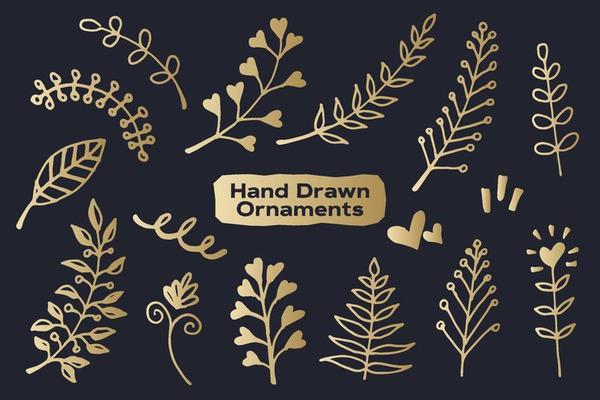 Hand Drawn Nature Luxury Elegant Ornaments