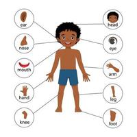 cartel de ilustración de niño africano de partes del cuerpo humano con gráfico de etiqueta de texto de diagrama para fines educativos vector