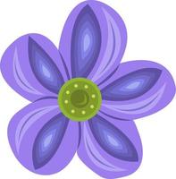 Oxalis flower vector illustration for graphic design and decorative element