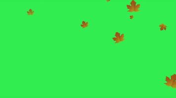 eeuwblad vallen, herfst esdoornbladeren vallen, esdoorn herfstbladeren vallen, herfstbladeren vallen tegen groene achtergrond
