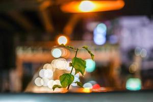 Mini tree grow up on the overpass in urban bokeh light backround. photo