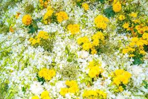 blanquee la decoración del ramo de orquídeas en el árbol con otras orquídeas amarillas. foto