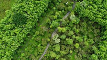 uma vista aérea de árvores na estação chuvosa no norte rural da tailândia. drone voando sobre a floresta, fundo da natureza. voo sobre bosques, fundo natural em movimento.