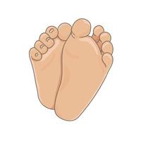 Newborn baby foot soles, barefoot, bottom view. Tiny plump feet with cute heels and toes. Realistic caucasian skin colours. Vector illustration, hand drawn cartoon style, isolated on white.