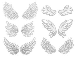 Collection of angel wings with grey and white feathers, wide spread. Contour drawing in modern line style with volume. Vector illustration isolated on white.