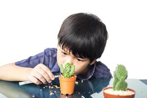 Asian lovely boy is planting small cactus isolated over white photo