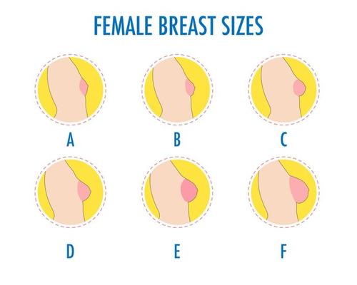 Woman breast icon, cartoon style 14680186 Vector Art at Vecteezy