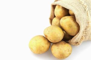 Potato sack isolated over white photo