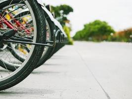 Bicycle rentals wheel in a row near to the road photo