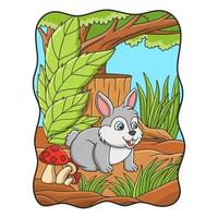 ilustración de dibujos animados un conejo caminando por el bosque en busca de comida vector