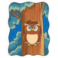 cartoon illustration owl standing in front of his house on a big tree trunk at night vector