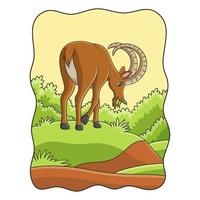 cartoon illustration an ibex walking in the middle of the meadow looking for food in the morning vector