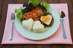 Rice topped with stir-fried pork and basil with egg, Thai style photo