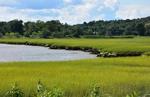 Beautiful Scenic Marsh and River Views on a Spring Day photo