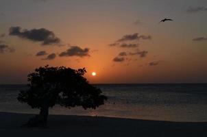 Setting Sun on Eagle Beach in Aruba photo