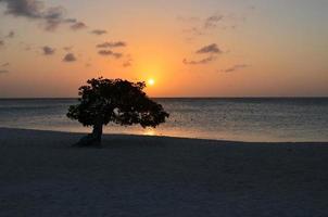 impresionante puesta de sol en eagle beach en aruba foto