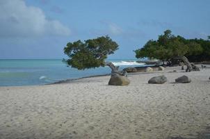 Waves Crashing Off Eagle Beach in Aruba photo