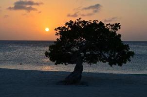 Beautiful Sunset on Eagle Beach in Aruba photo