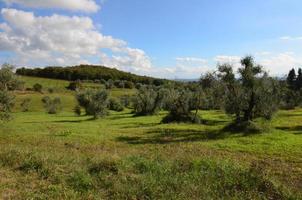 Tuscan Countryside in Italy photo