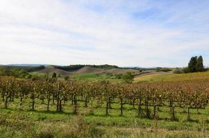 Tuscan Vineyard Found in the Italian Countryside photo