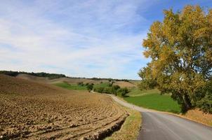 Windy Road Through the Tuscan Countryside photo