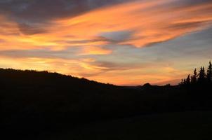 cielos anaranjados y siluetas de árboles en toscana foto