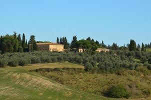 hermoso viñedo y bodega en toscana foto