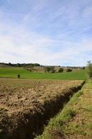 Fields and Groves Found in Tuscany photo