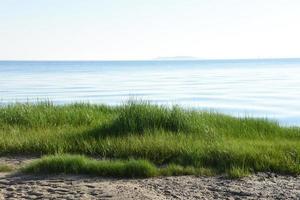 Shoreline with Beach and Beach Grasses in Plymouth photo