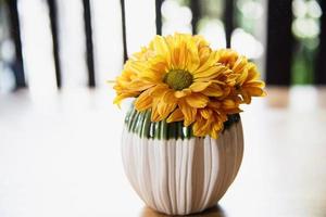 flor de sol pequeña y colorida fresca en maceta de cerámica - decoración de flores amarillas para uso de fondo foto