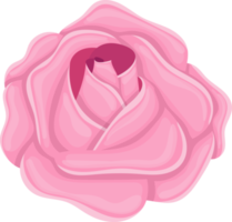 Rose flower clipart design illustration png